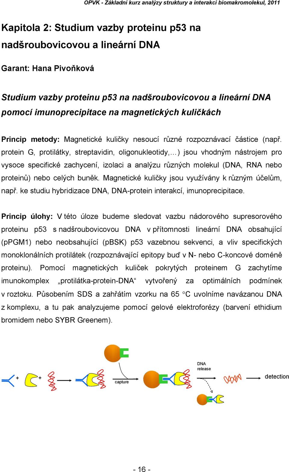 protein G, protilátky, streptavidin, oligonukleotidy, ) jsou vhodným nástrojem pro vysoce specifické zachycení, izolaci a analýzu různých molekul (DNA, RNA nebo proteinů) nebo celých buněk.