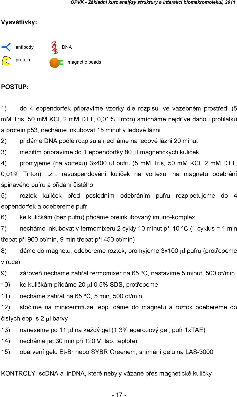 kuliček 4) promyjeme (na vortexu) 3x400 ul pufru (5 mm Tris, 50 mm KCl, 2 mm DTT, 0,01% Triton), tzn.