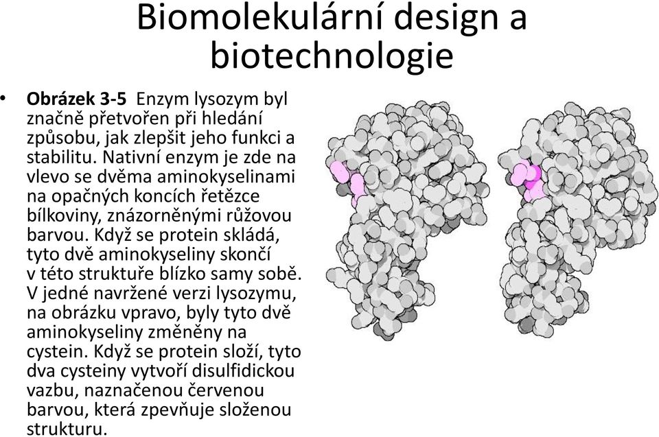 Když se protein skládá, tyto dvě aminokyseliny skončí v této struktuře blízko samy sobě.