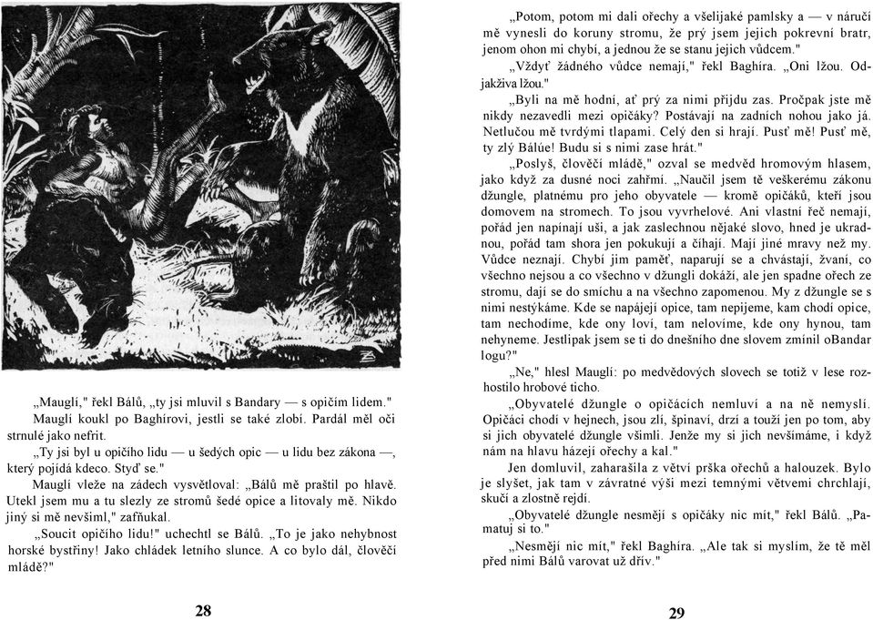 Utekl jsem mu a tu slezly ze stromů šedé opice a litovaly mě. Nikdo jiný si mě nevšiml," zafňukal. Soucit opičího lidu!" uchechtl se Bálů. To je jako nehybnost horské bystřiny!