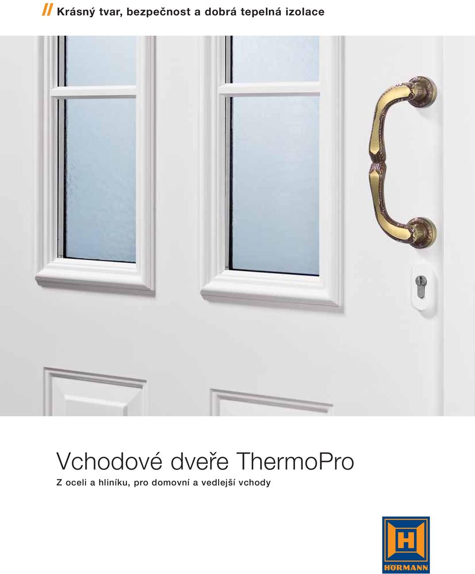 dveře ThermoPro Z oceli a