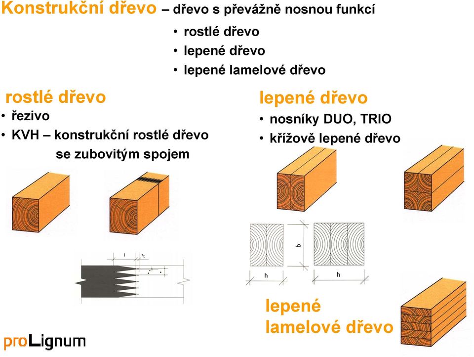 2009 lepené dřevo Univerzita Tomáše Bati ve Zlíně lepené lamelové