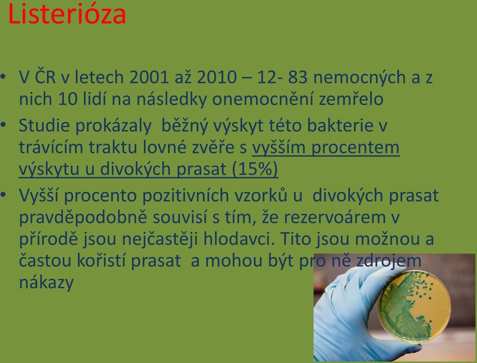 prasat (15%) Vyšší procento pozitivních vzorků u divokých prasat pravděpodobně souvisí s tím, že rezervoárem