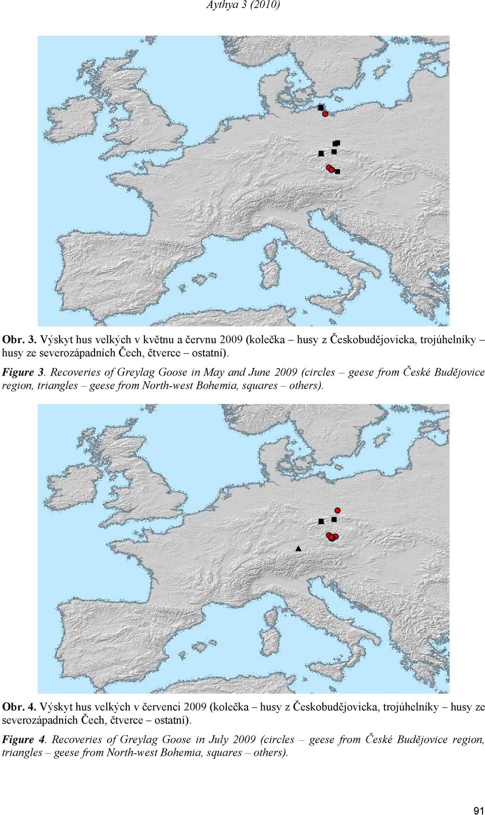 Recoveries of Greylag Goose in May and June 009 (circles geese from České Budějovice region, triangles geese from North-west Bohemia, squares