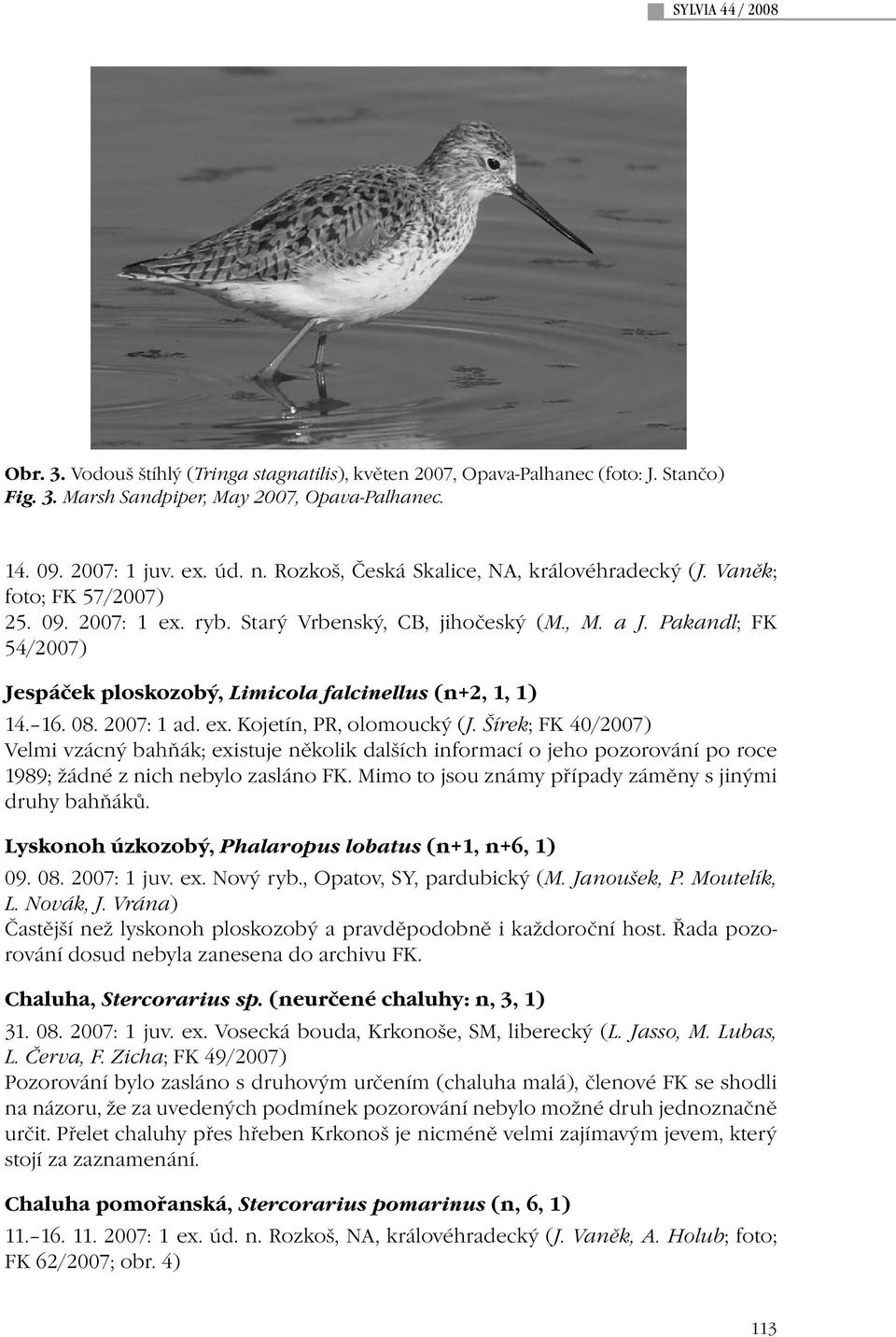 Pakandl; FK 54/2007) Jespáček ploskozobý, Limicola falcinellus (n+2, 1, 1) 14. 16. 08. 2007: 1 ad. ex. Kojetín, PR, olomoucký (J.