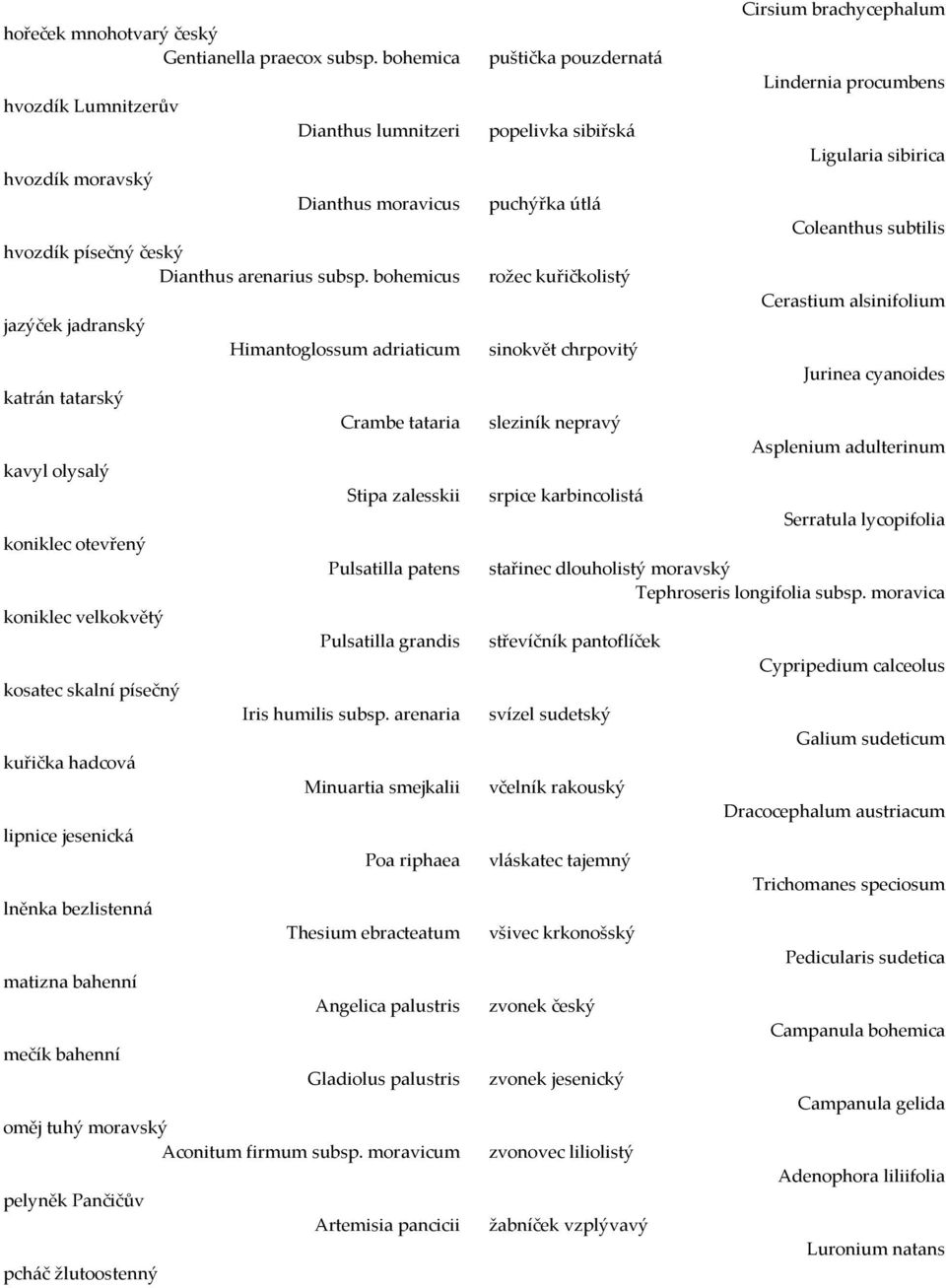 bahenní Himantoglossum adriaticum Crambe tataria Stipa zalesskii Pulsatilla patens Pulsatilla grandis Iris humilis subsp.