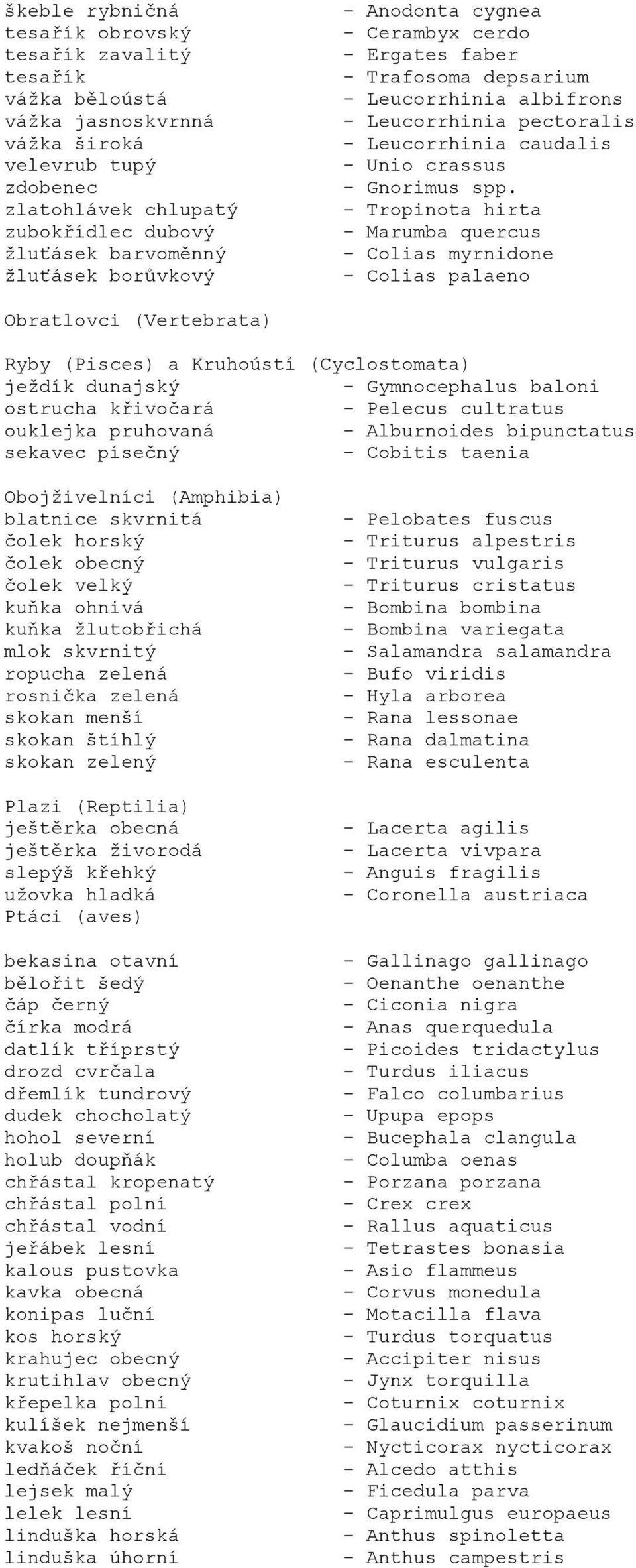 - Tropinota hirta - Marumba quercus - Colias myrnidone - Colias palaeno Obratlovci (Vertebrata) Ryby (Pisces) a Kruhoústí (Cyclostomata) ježdík dunajský - Gymnocephalus baloni ostrucha křivočará -