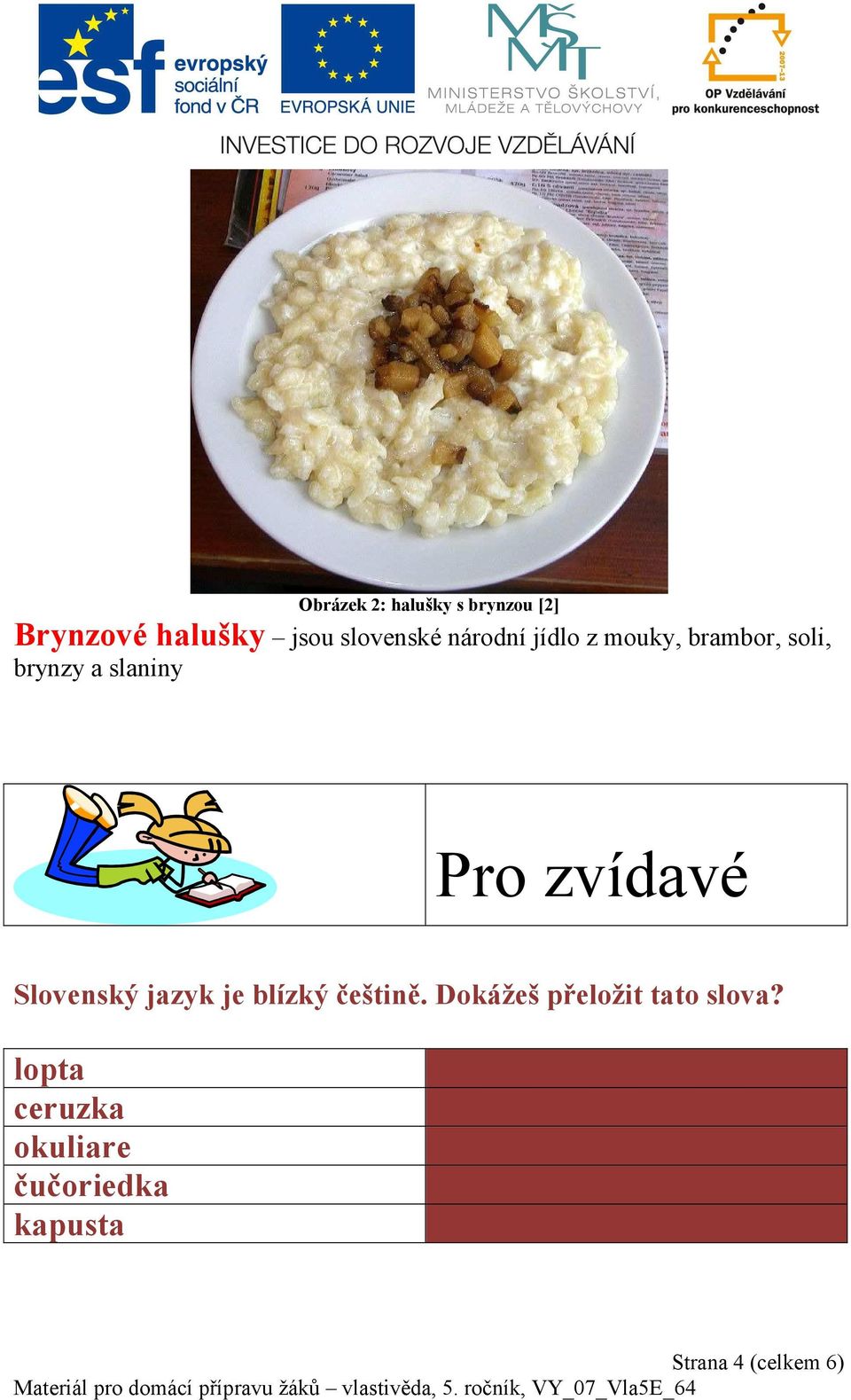 Slovenský jazyk je blízký češtině. Dokážeš přeložit tato slova?