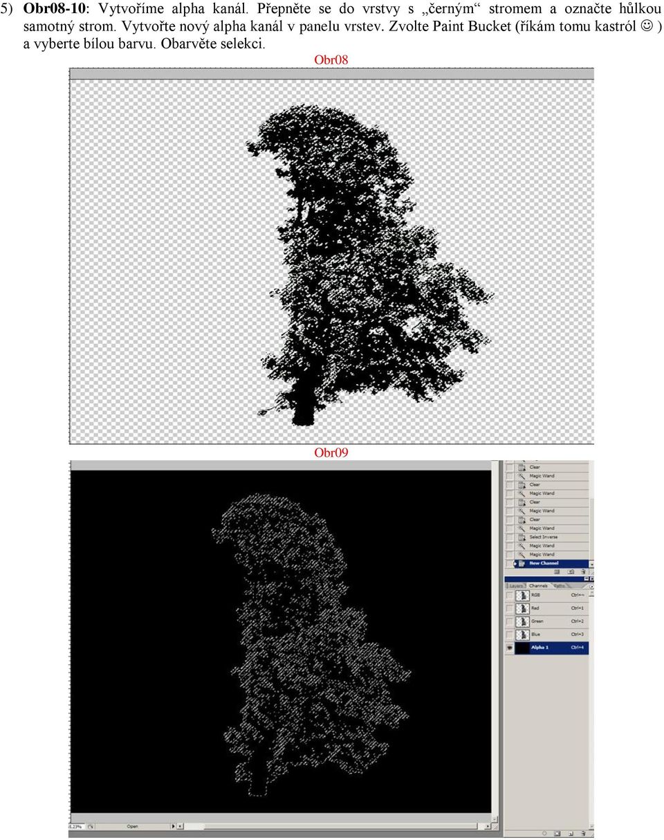 samotný strom. Vytvořte nový alpha kanál v panelu vrstev.