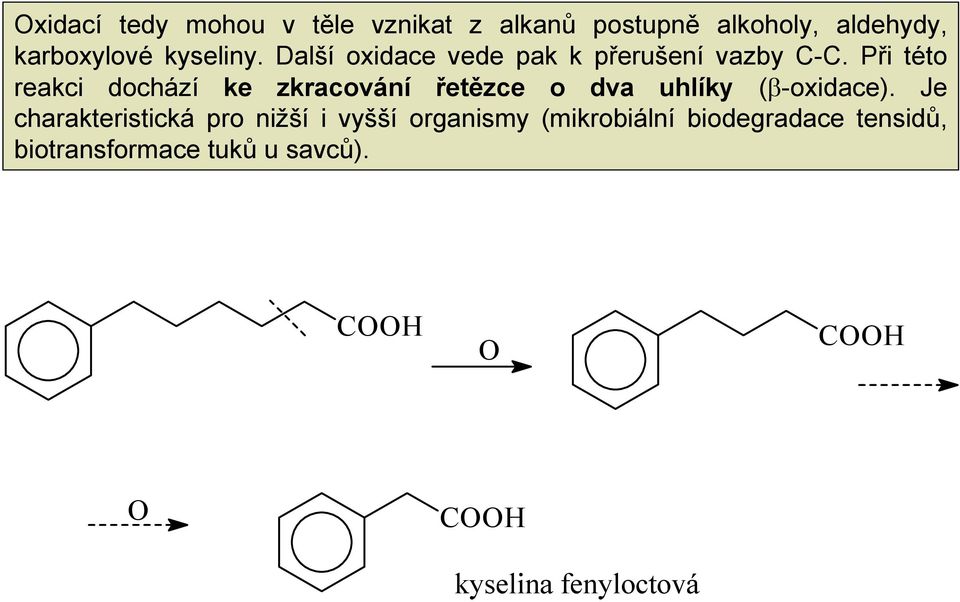 Při této reakci dochází ke zkracování řetězce o dva uhlíky (β-oxidace).