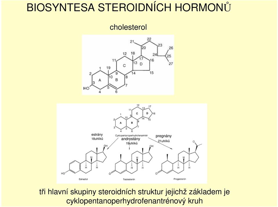 21uhlíků tři hlavní skupiny steroidních struktur