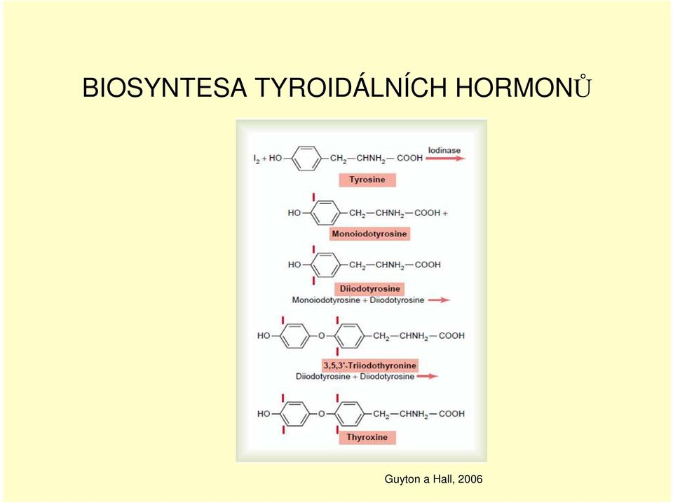 HORMONŮ