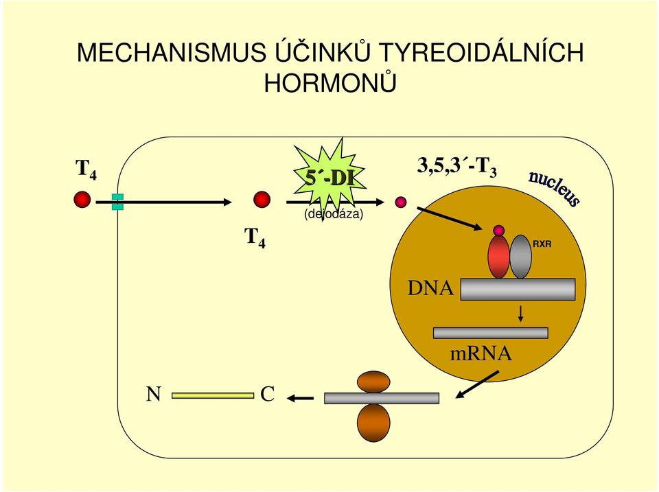 4 3,5,3 -T 5 -DI 3