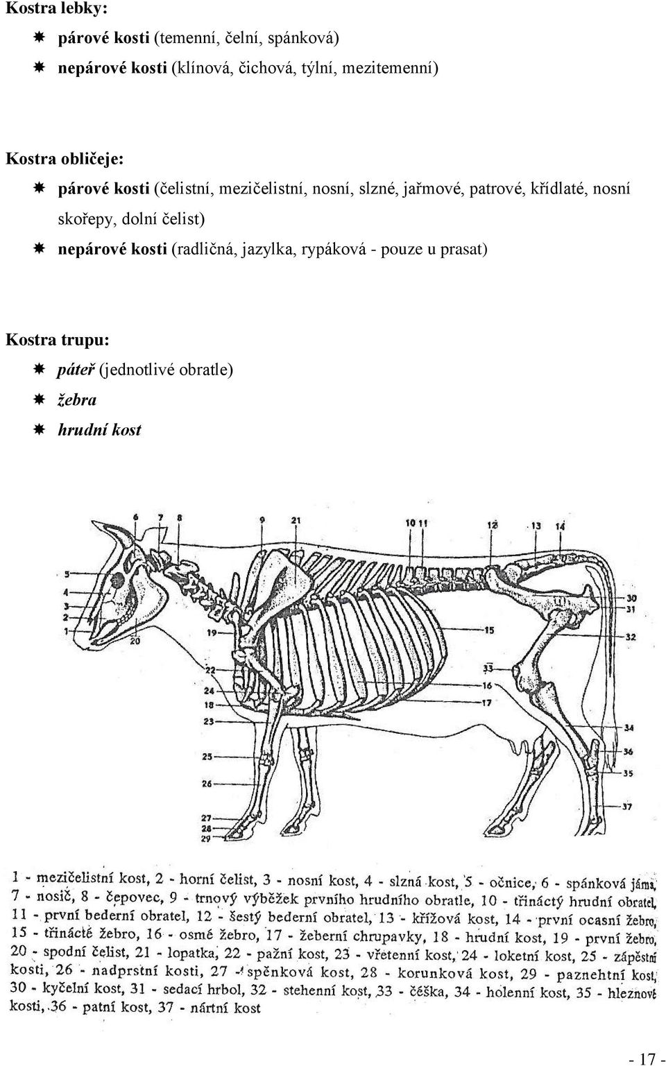 jařmové, patrové, křídlaté, nosní skořepy, dolní čelist) nepárové kosti (radličná,