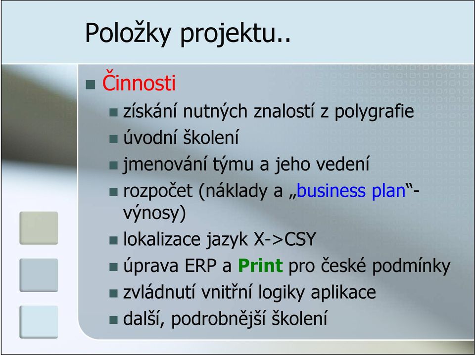 jmenování týmu a jeho vedení rozpočet (náklady a business plan -