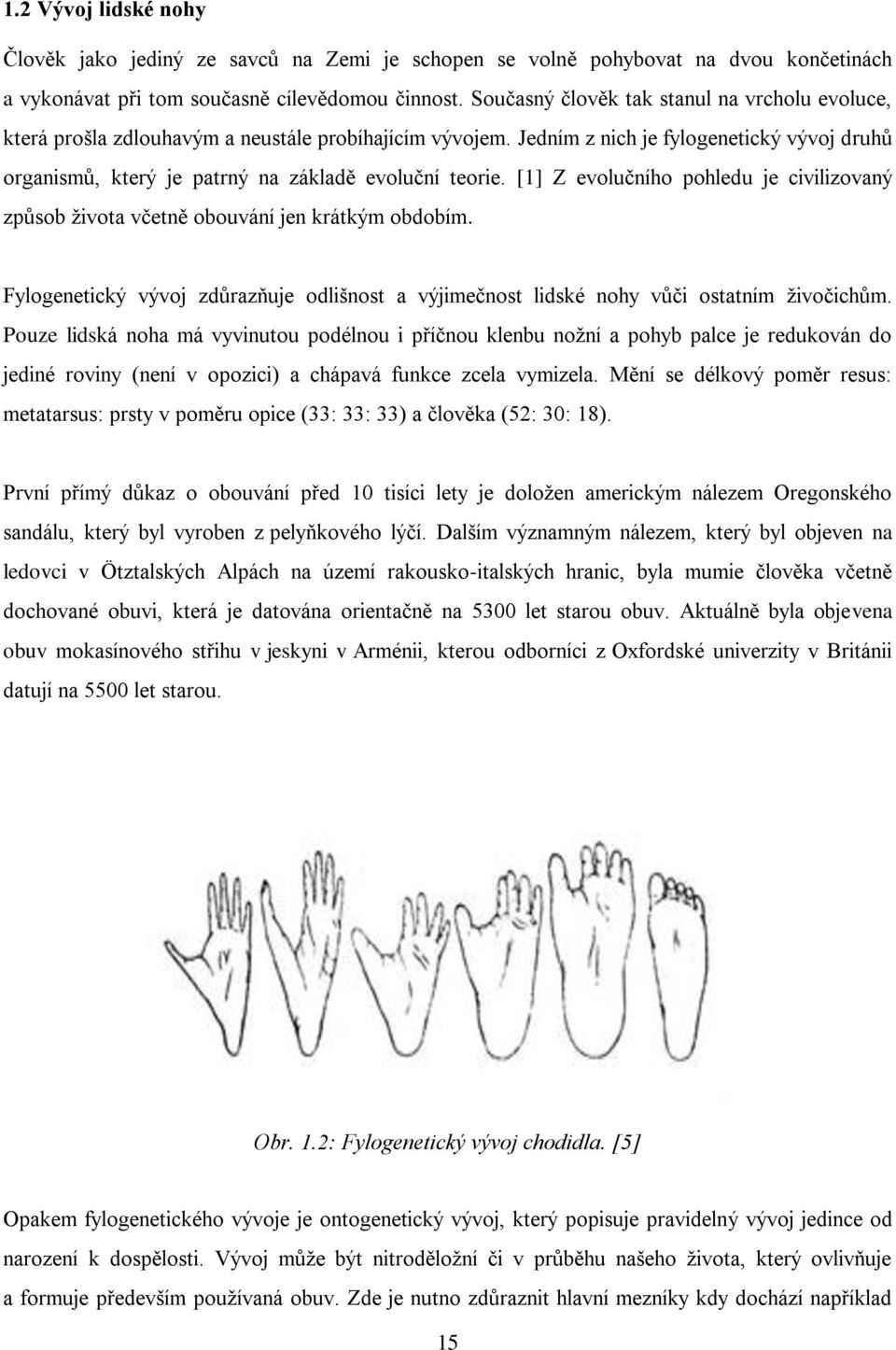 Jedním z nich je fylogenetický vývoj druhů organismů, který je patrný na základě evoluční teorie. [1] Z evolučního pohledu je civilizovaný způsob života včetně obouvání jen krátkým obdobím.