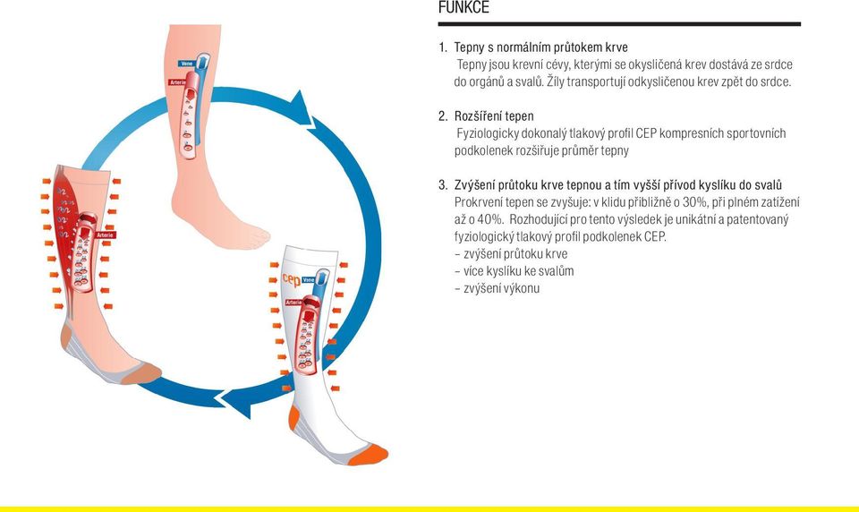 Rozšíření tepen Fyziologicky dokonalý tlakový profil CEP kompresních sportovních podkolenek rozšiřuje průměr tepny 3.