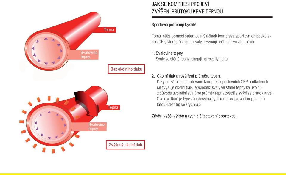 Svalovina tepny Svalovina tepny Bez okolního tlaku Tepna 1. Svalovina tepny Svaly ve stěně tepny reagují na rozdíly tlaku. 2. Okolní tlak a rozšíření průměru tepen.