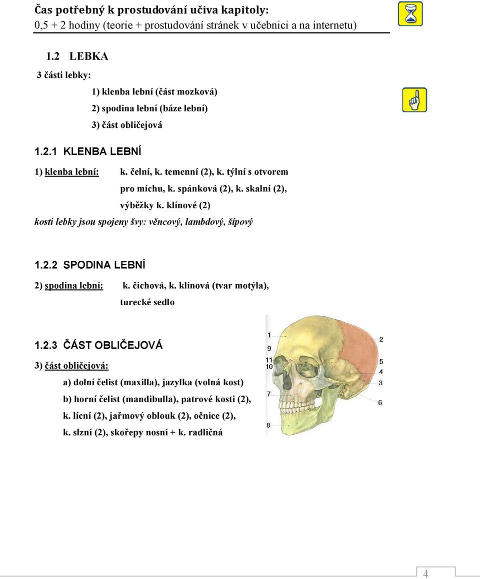 týlní s otvorem pro míchu, k. spánková (2), k. skalní (2), výběžky k. klínové (2) kosti lebky jsou spojeny švy: věncový, lambdový, šípový 1.2.2 SPODINA LEBNÍ 2) spodina lební: k.