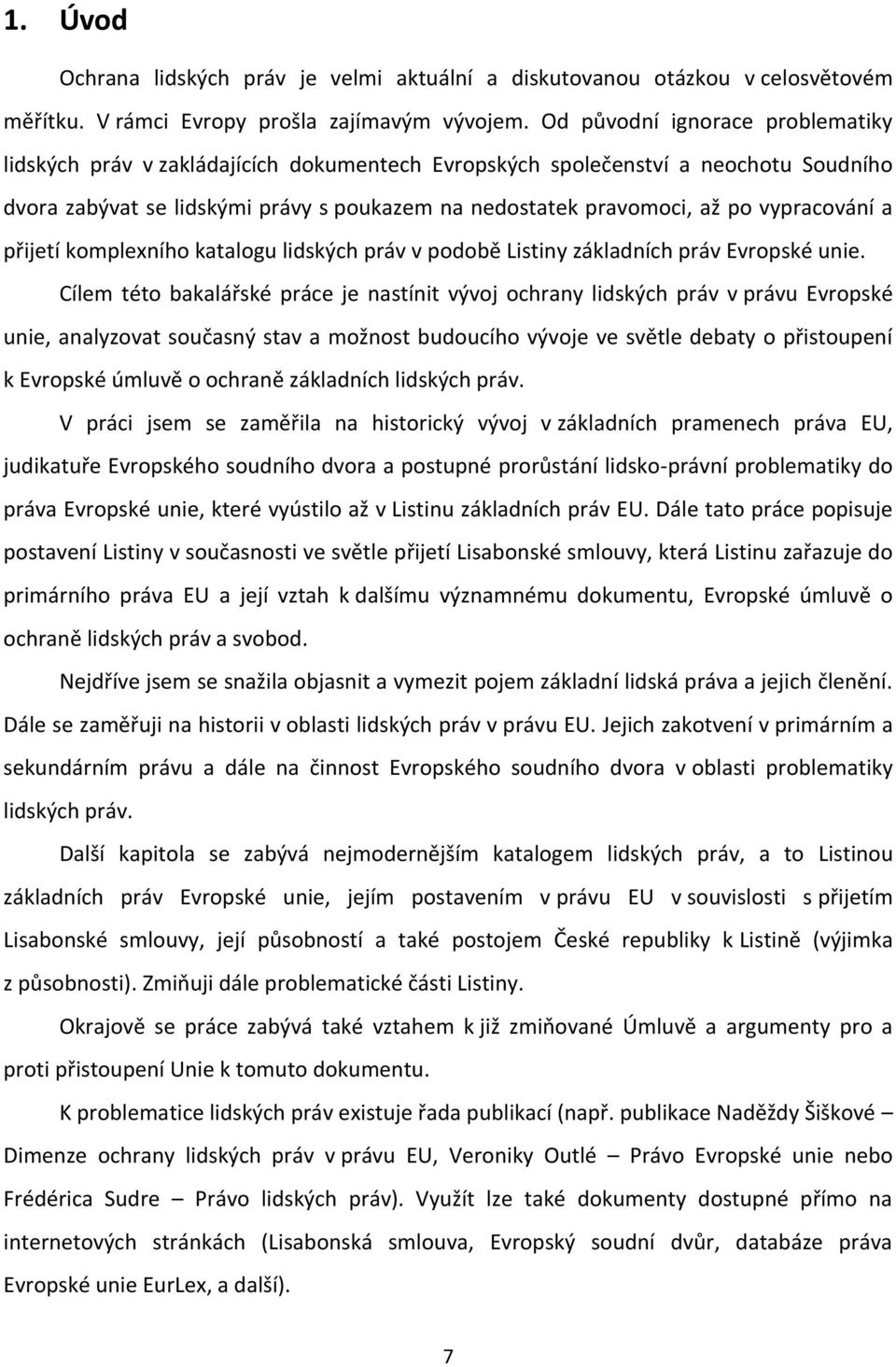 vypracování a přijetí komplexního katalogu lidských práv v podobě Listiny základních práv Evropské unie.