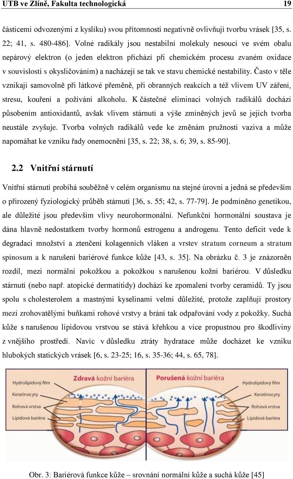 stavu chemické nestability. Často v těle vznikají samovolně při látkové přeměně, při obranných reakcích a též vlivem UV záření, stresu, kouření a požívání alkoholu.