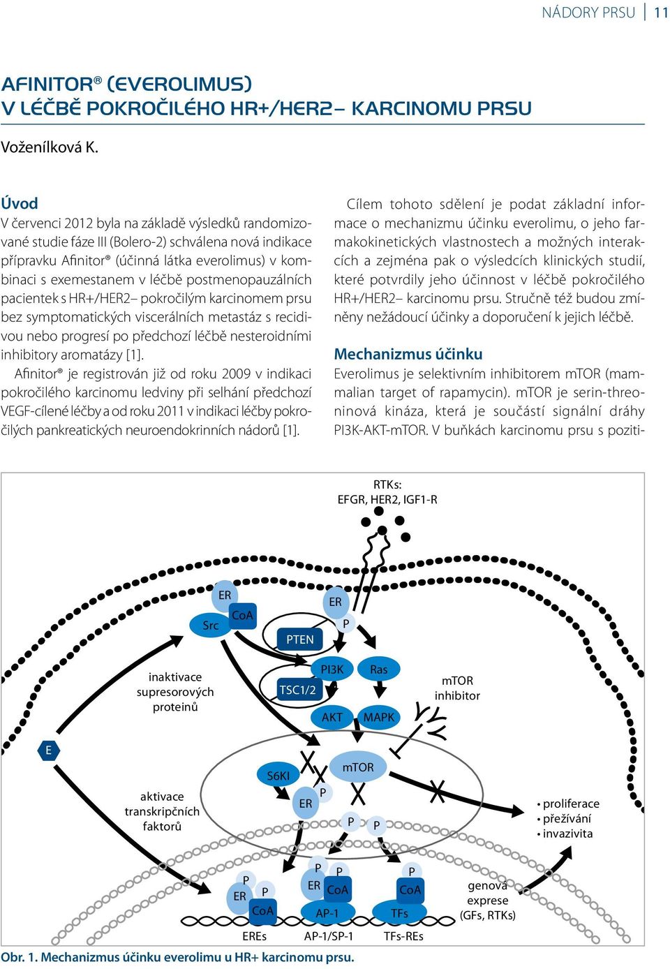 postmenopauzálních pacientek s HR+/H2 pokročilým karcinomem prsu bez symptomatických viscerálních metastáz s recidivou nebo progresí po předchozí léčbě nesteroidními inhibitory aromatázy [1].