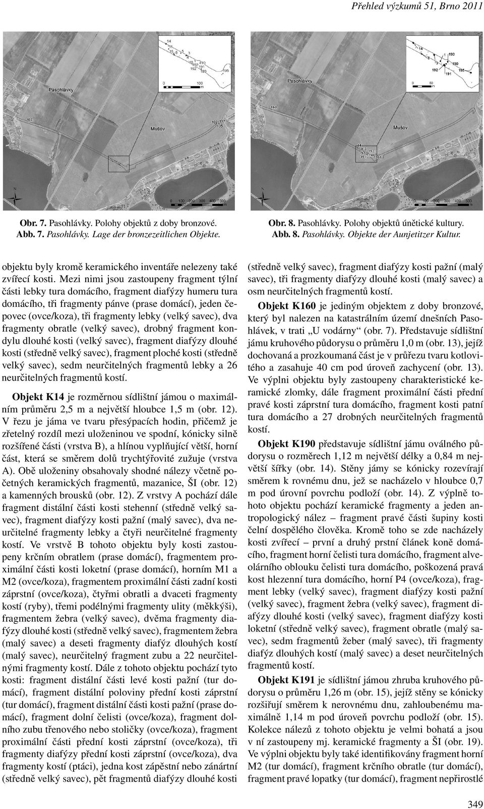 Mezi nimi jsou zastoupeny fragment týlní části lebky tura domácího, fragment diafýzy humeru tura domácího, tři fragmenty pánve (prase domácí), jeden čepovec(ovce/koza), tři fragmenty lebky(velký