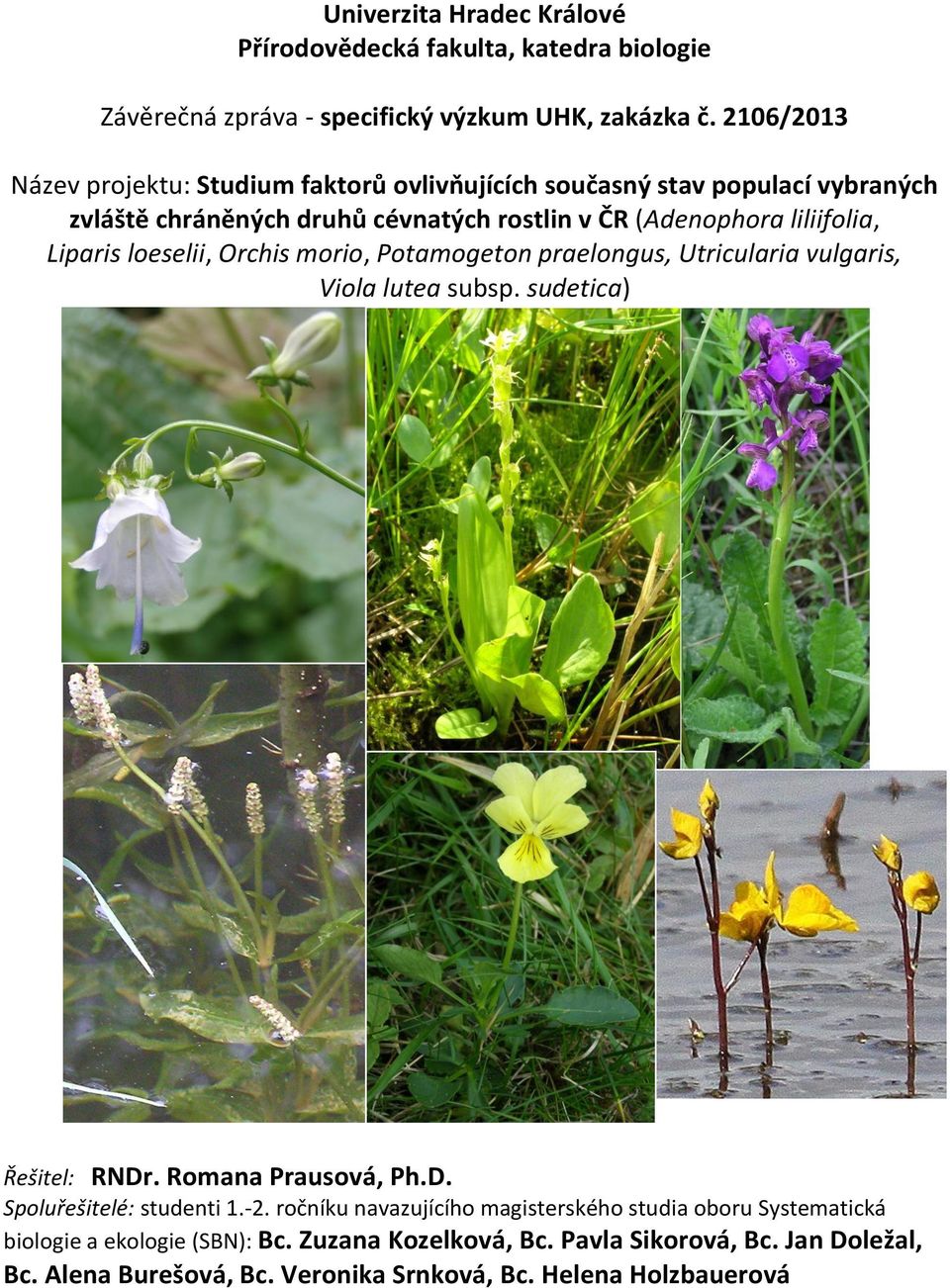 Liparis loeselii, Orchis morio, Potamogeton praelongus, Utricularia vulgaris, Viola lutea subsp. sudetica) Řešitel: RNDr. Romana Prausová, Ph.D. Spoluřešitelé: studenti 1.