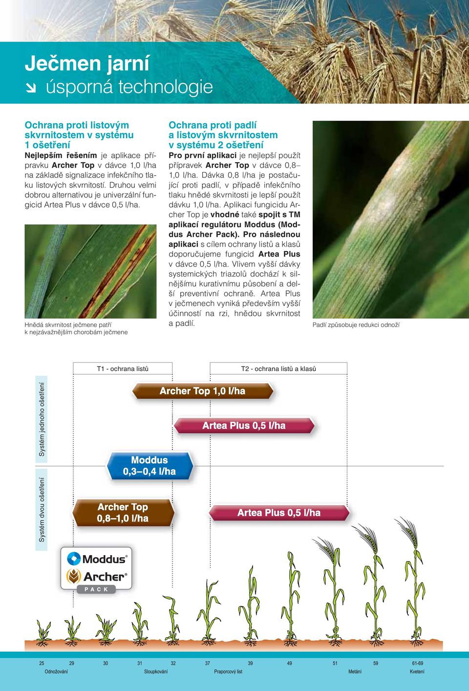 Hnědá skvrnitost ječmene patří k nejzávažnějším chorobám ječmene Ochrana proti padlí a listovým skvrnitostem v systému 2 ošetření Pro první aplikaci je nejlepší použít přípravek Archer Top v dávce