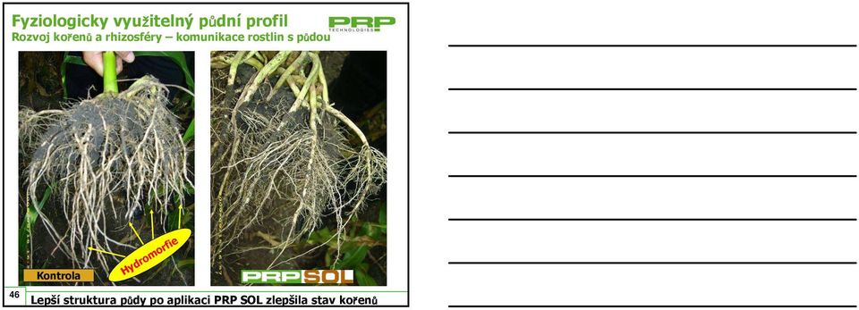půdou Kontrola Hydromorfie 46 Lepší