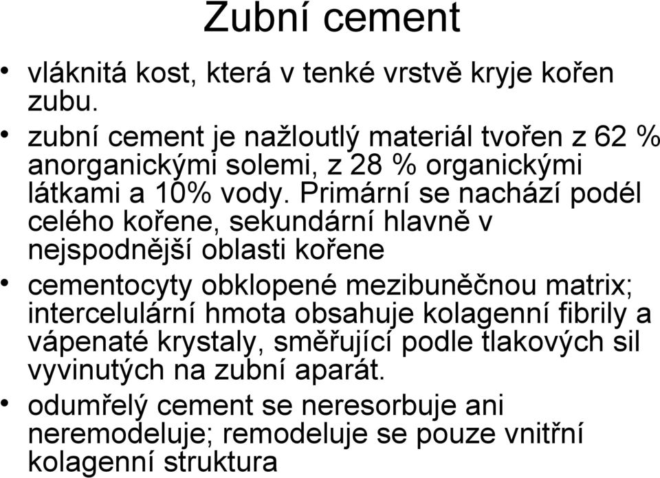 Primární se nachází podél celého kořene, sekundární hlavně v nejspodnější oblasti kořene cementocyty obklopené mezibuněčnou matrix;