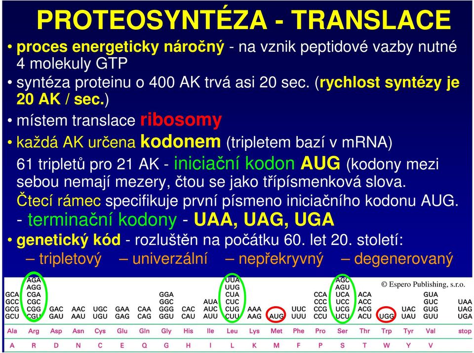) místem translace ribosomy každá AK určena kodonem (tripletem bazí v mrna) 61 tripletů pro 21 AK - iniciační kodon AUG (kodony mezi sebou nemají