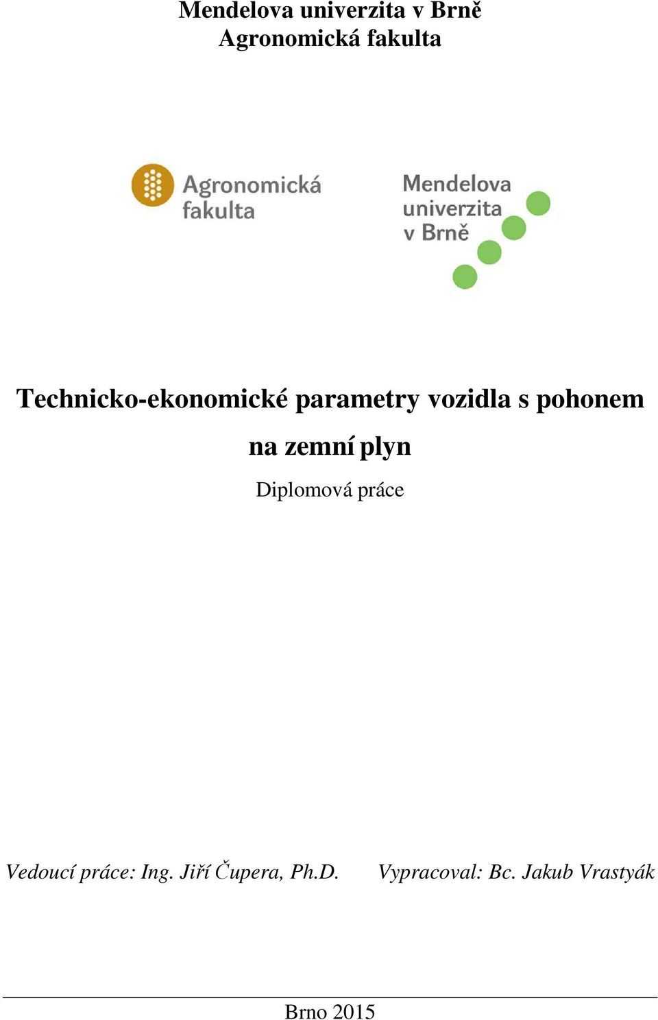 zemní plyn Diplomová práce Vedoucí práce: Ing.