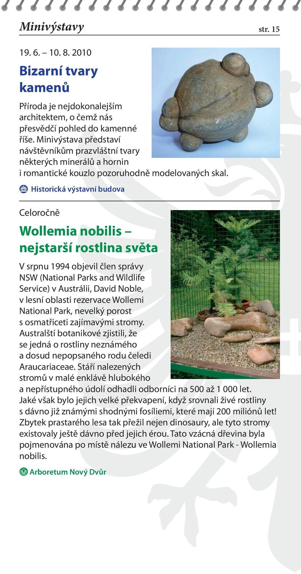 Historická výstavní budova Celoročně Wollemia nobilis nejstarší rostlina světa V srpnu 1994 objevil člen správy NSW (National Parks and Wildlife Service) v Austrálii, David Noble, v lesní oblasti