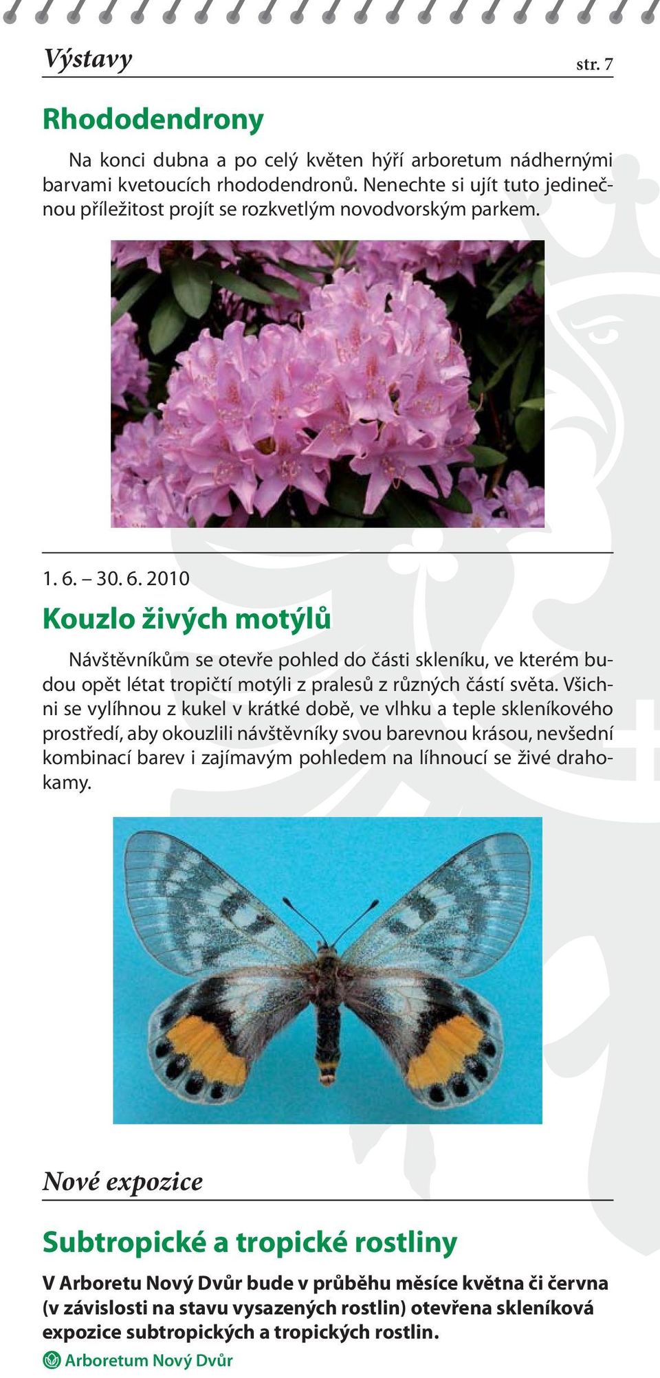 30. 6. 2010 Kouzlo živých motýlů Návštěvníkům se otevře pohled do části skleníku, ve kterém budou opět létat tropičtí motýli z pralesů z různých částí světa.