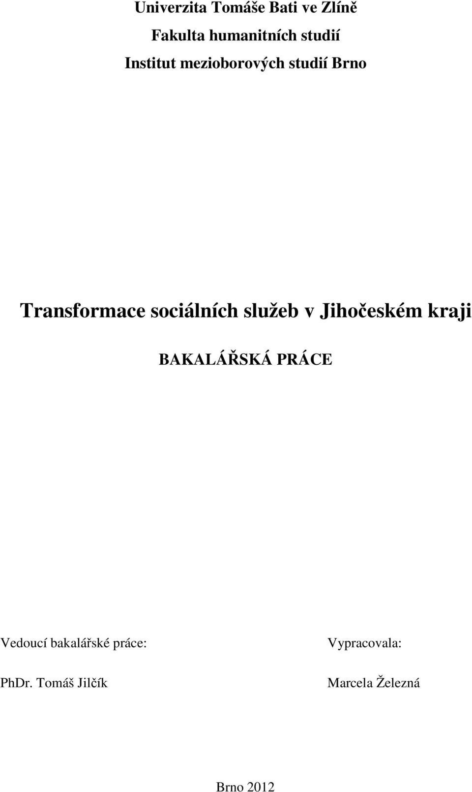 služeb v Jihočeském kraji BAKALÁŘSKÁ PRÁCE Vedoucí