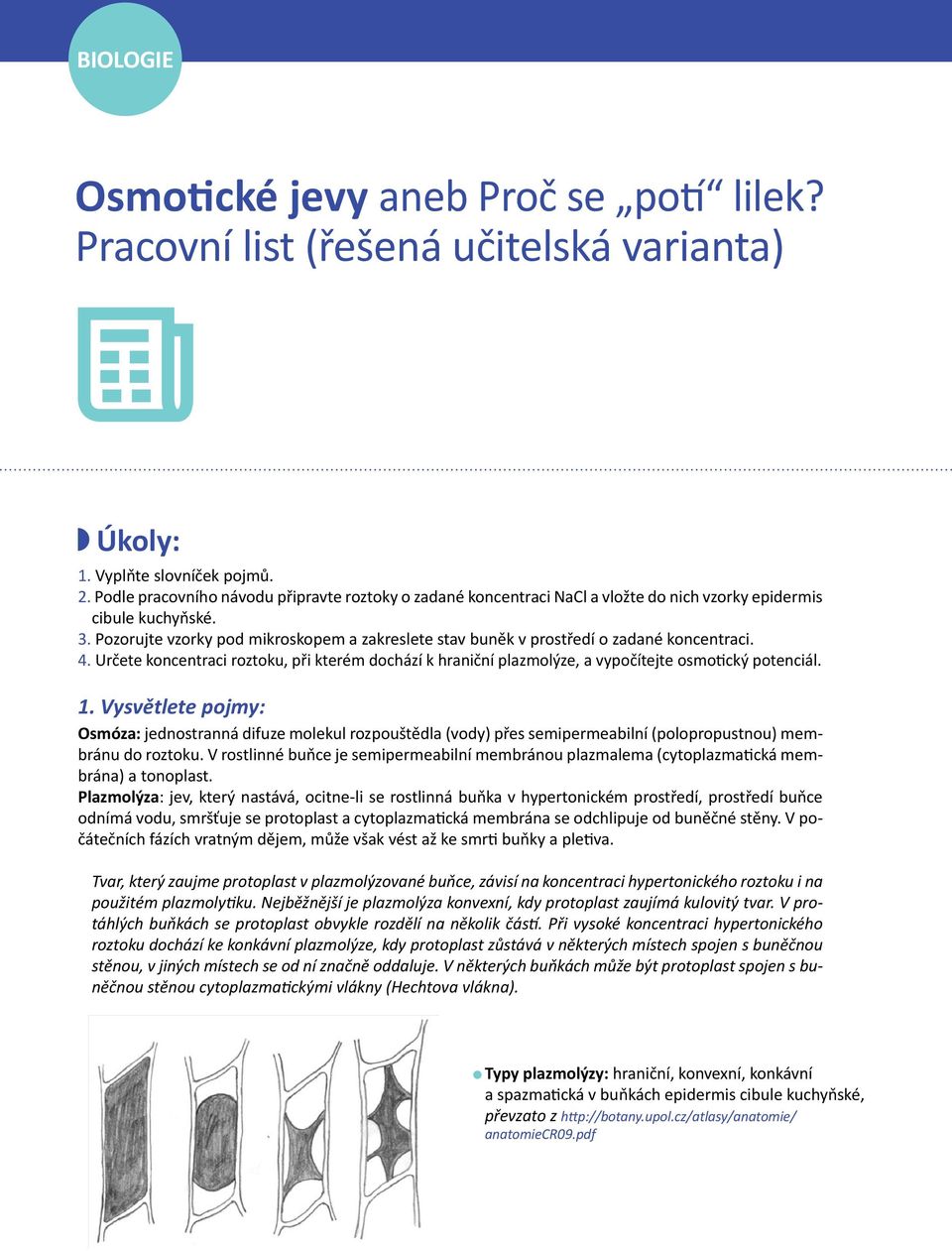 Pozorujte vzorky pod mikroskopem a zakreslete stav buněk v prostředí o zadané koncentraci. 4. Určete koncentraci roztoku, při kterém dochází k hraniční plazmolýze, a vypočítejte osmotický potenciál.