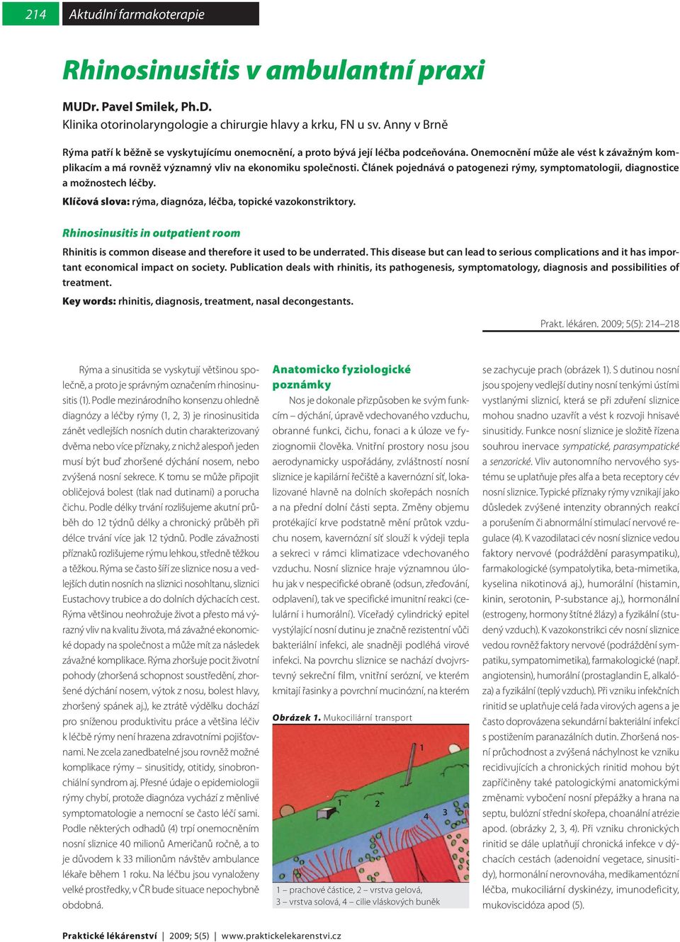 Článek pojednává o patogenezi rýmy, symptomatologii, diagnostice a možnostech léčby. Klíčová slova: rýma, diagnóza, léčba, topické vazokonstriktory.