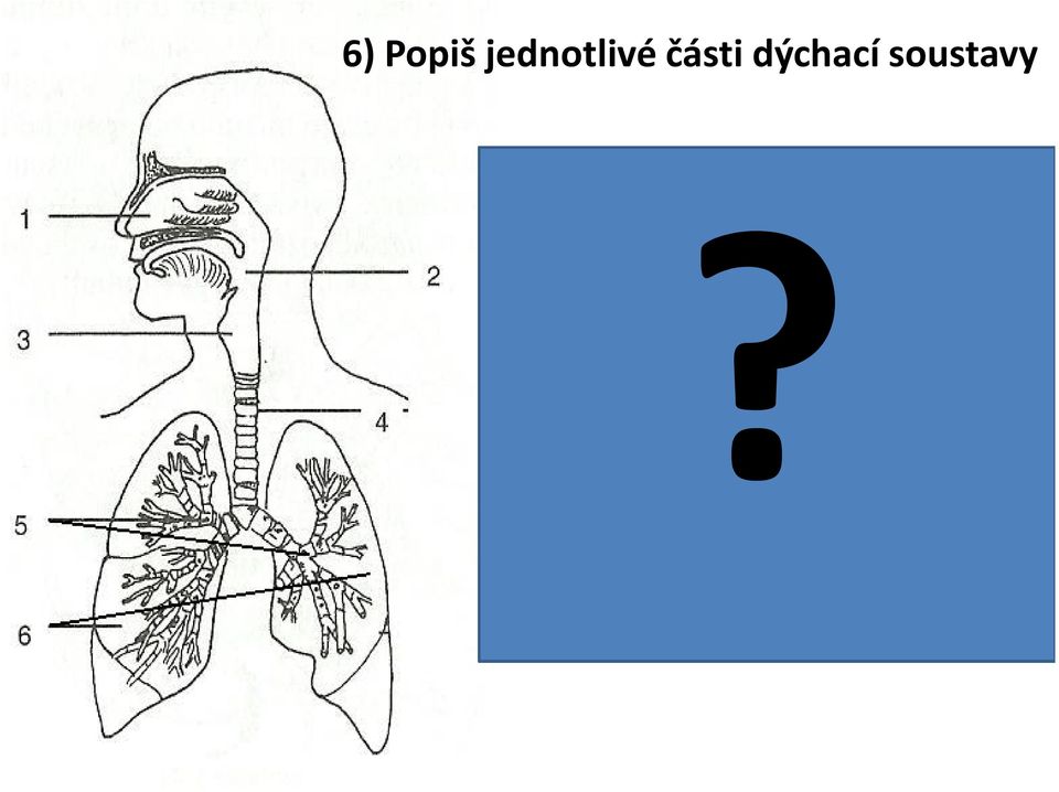 části