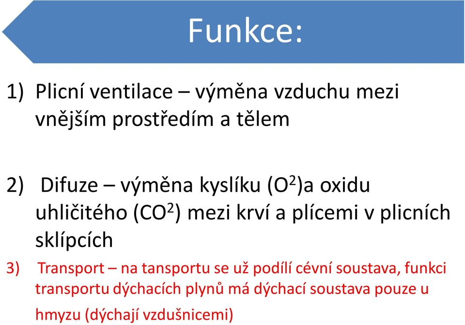 plicních sklípcích 3) Transport na tansportu se už podílí cévní soustava,