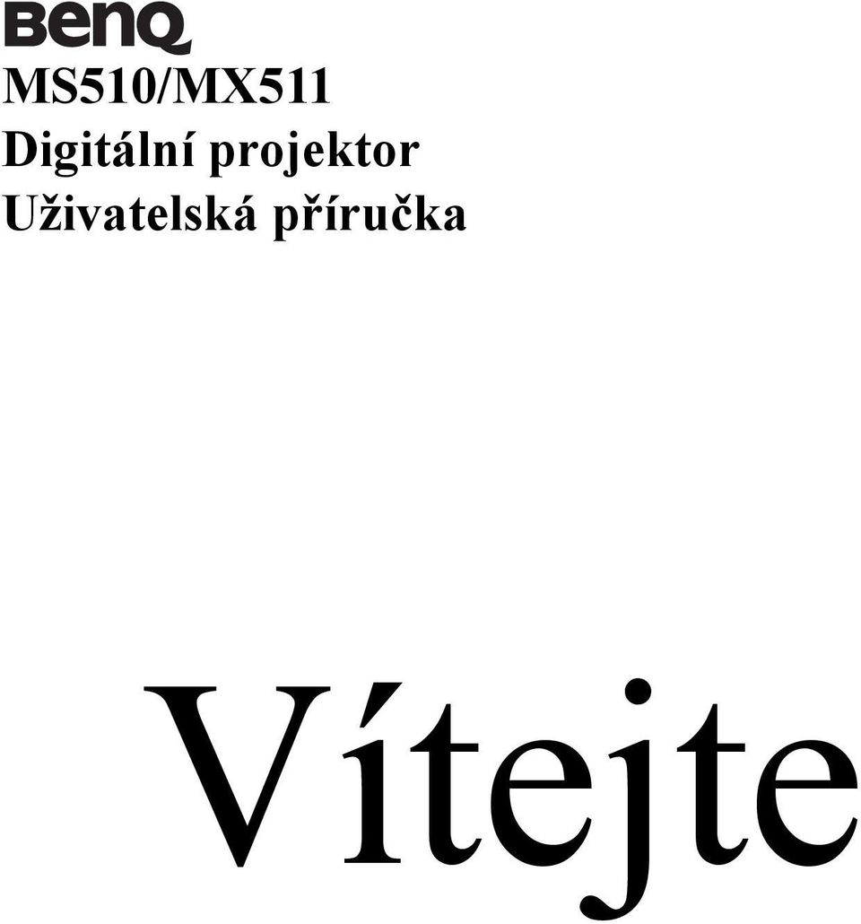 projektor