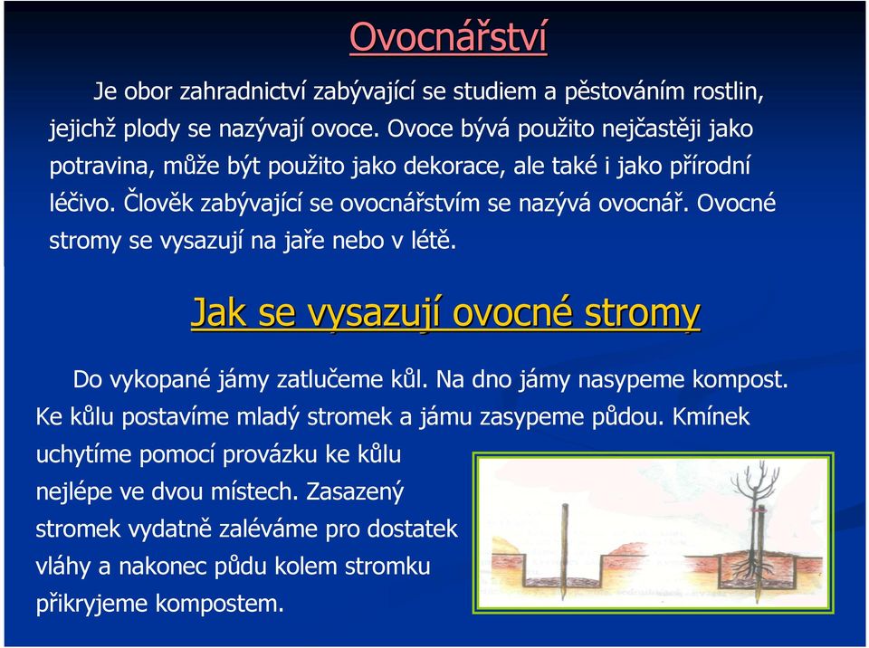 Člověk zabývající se ovocnářstvím se nazývá ovocnář. Ovocné stromy se vysazují na jaře nebo v létě.