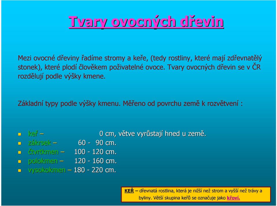 Měřeno od povrchu země k rozvětvení : keř 0 cm, větve v vyrůstaj stají hned u země. zákrsek 60-90 cm. čtvrtkmen 100-120 cm.