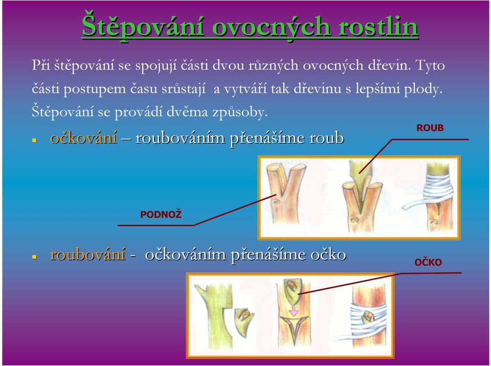 Štěpování se provádí dvěma způsoby.