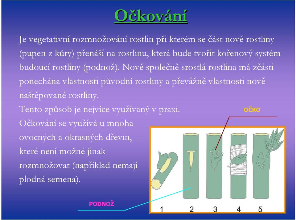 Nově společně srostlá rostlina má zčásti ponechána vlastnosti původní rostliny a převážně vlastnosti nově naštěpované