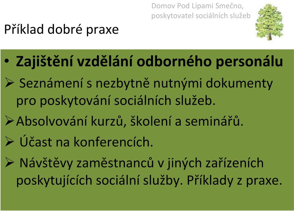 Absolvování kurzů, školení a seminářů. Účast na konferencích.