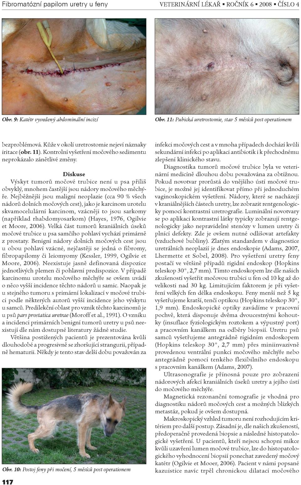 Diskuse Výskyt tumorù moèové trubice není u psa pøíliš obvyklý, mnohem èastìjší jsou nádory moèového mìchýøe.