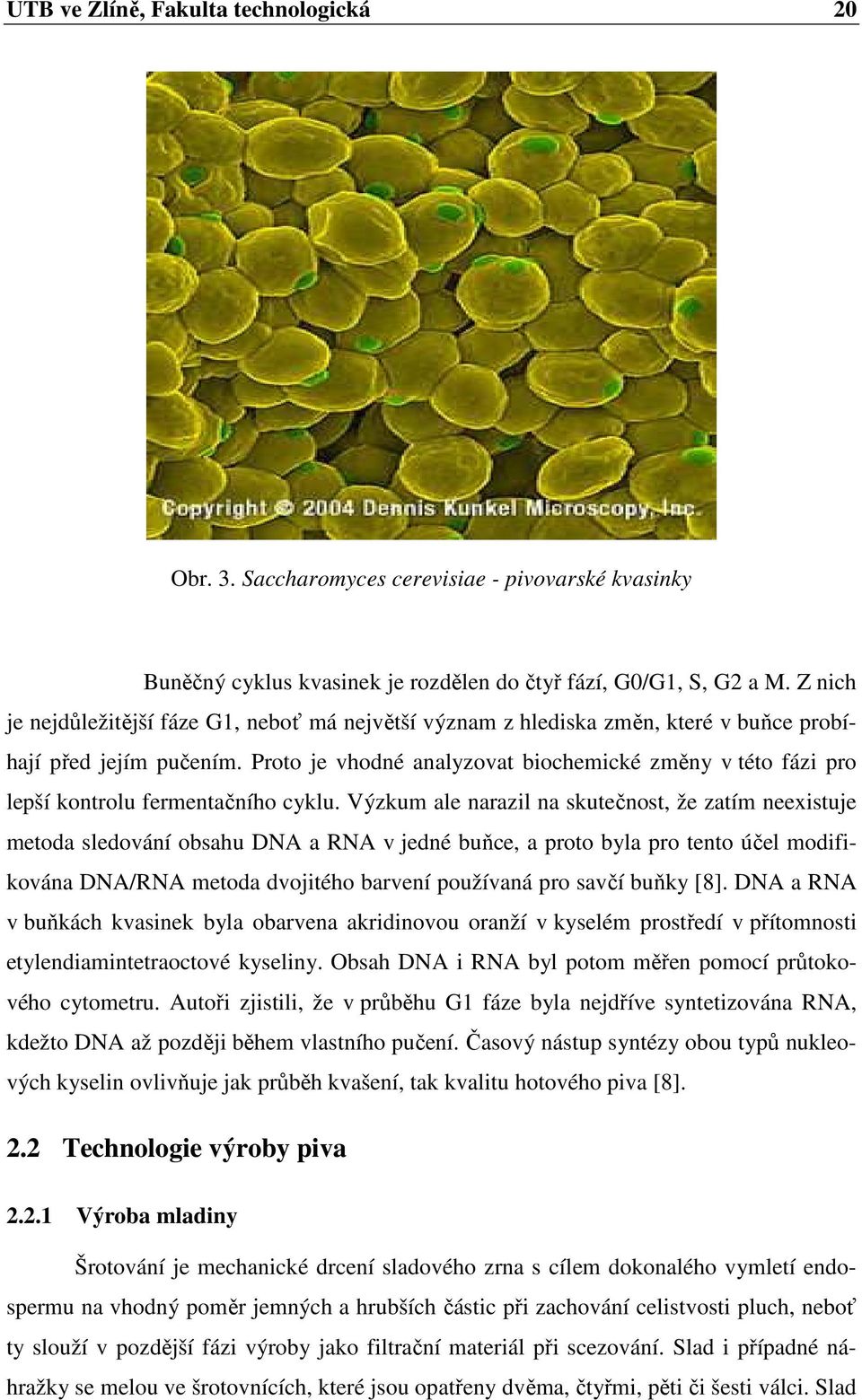 Proto je vhodné analyzovat biochemické změny v této fázi pro lepší kontrolu fermentačního cyklu.