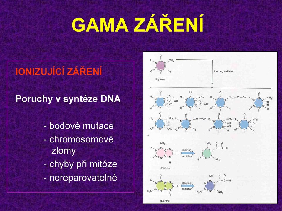 mutace - chromosomové zlomy -