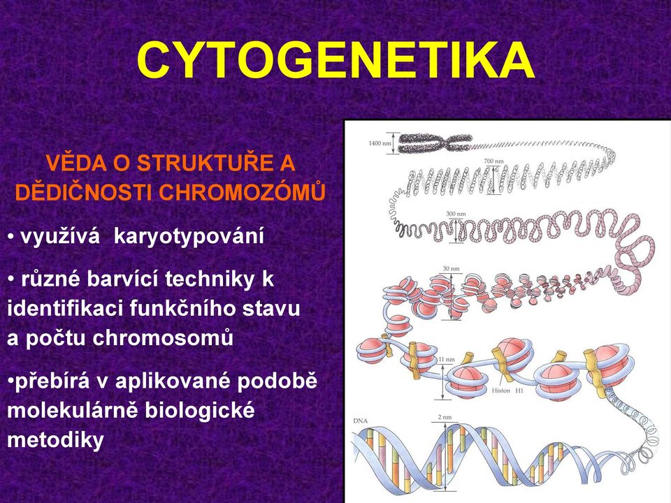 techniky k identifikaci funkčního stavu a počtu